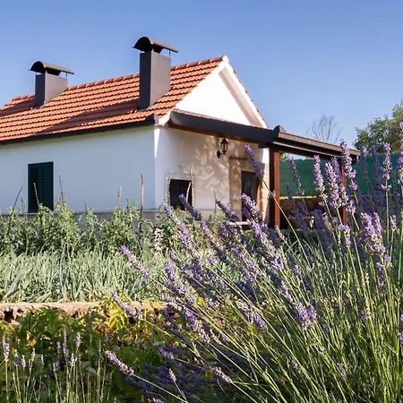 Holiday home In With Outdoor Swimming Pool *